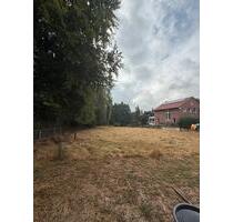 Wiese zu verpachten - 85,00 EUR Kaltmiete, ca.  0,00 m² in Coesfeld (PLZ: 48653)