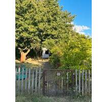Pachtgarten abzugeben - 200,00 EUR Kaltmiete, ca.  0,00 m² in Halle (Saale) (PLZ: 06112) Büschdorf
