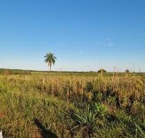 113 ha Kolonie ReinlandNeufeld Caazapá PARAGUAY - Kreuztal