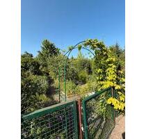 Kleingarten Pachtgarten Garten in kleinem KGV in Wahren - Leipzig Nordwest