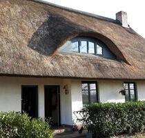 Kleine Ferienwohnung Hund erlaubt Ostsee-Insel Usedom - Karlshagen