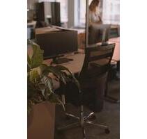Co-Working - All-in-Miete - 350,00 EUR Kaltmiete, in Hamburg (PLZ: 20097) Hamburg-Mitte