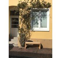 Altbau Wohnung in Nienburger Altstsdt - Nienburg (Weser)