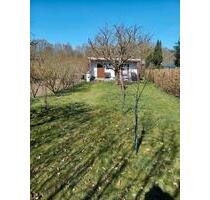 Kleingarten - 4.500,00 EUR Kaltmiete, ca.  0,00 m² in Rostock (PLZ: 18055)