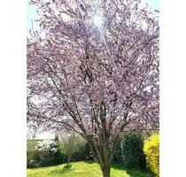 Ruhige 3 ½ Zimmer-Whg. mit Garten in Bad Füssing