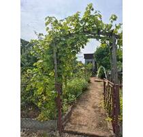 Garten abzugeben in Quedlinburg - Thale