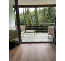 2 Zimmerwohnung in Prien am Chiemsee zu vermieten - München Neuhausen-Nymphenburg