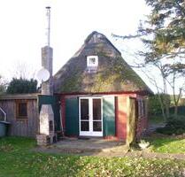 Kleines Reetdachhaus direkt am Meer in Kalifornien bei Schönberg - Schönberg (Holstein)