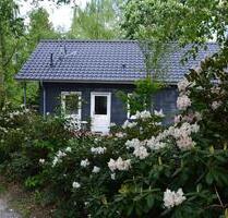 295,00 EUR Kaltmiete, in Wiefelstede (PLZ: 26215)