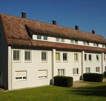 **WOHNUNG ZUM VERLIEBEN** renovierte 2-Zimmer Wohnung - Aalen