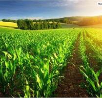 Provisionsfrei - schnell sein! Land- Forstwirtschaft in 21772 Stinstedt