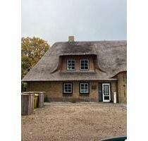 Mietwohnung - 850,00 EUR Kaltmiete, in Schwabstedt (PLZ: 25876)