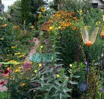 Wunderschöner Garten und Teich mit Doppelhaushälfte - Pfinztal