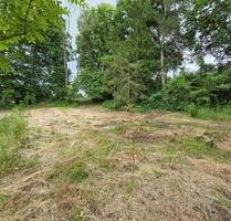 Freizeit-Gartengrundstück am Waldrand zu verpachten - Elz