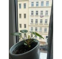 *3Raum Wohnung* Südvorstadt ANFRAGESTOPP - Leipzig