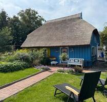 Ferienwohnung - Ferienhaus in Zingst