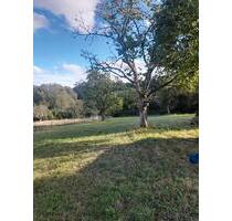 Grundstück zu verpachten - 95,00 EUR Kaltmiete, ca.  0,00 m² in Gries (PLZ: 66903)