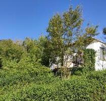 Pachtgarten in 07570 Wünschendorf - Gera Debschwitz