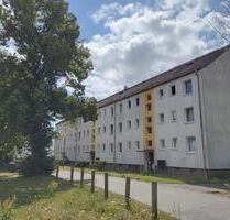 Gemütliche 3 Zimmer-Wohnung EBK inklusive Bezug ab 08.2025 - Machern