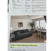 Schnuckeliges Apartment in Bischweier