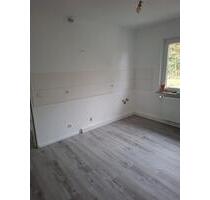 Neu renovierte 2 Zimmer Küche Bad Wohnung 480 Kaltmiete. - Bad Hönningen