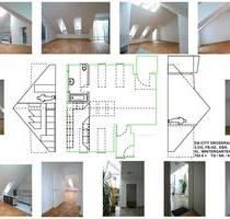 DA-CITY GROSSRAUM-STUDIO-WHG mit LOFTCHARAKTER + KL. WINTERGARTEN - Groß-Umstadt