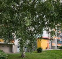 Hier ist sie! Deine erste eigene 2 Zimmer Wohnung! - Dresden Prohlis