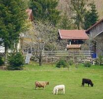 Bayerischer Wald Ferienwohnung am Bauernhof Bayern - Traitsching