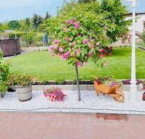 5-Zimmer-Haus mit Garten, Pool - Pankow (WG geeignet) - Berlin