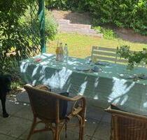 Garten mitpachten in Tamm für Hundebesitzer - Asperg