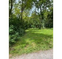 Gartengrundstück - 40,00 EUR Kaltmiete, ca.  0,00 m² in Stockach (PLZ: 78333)