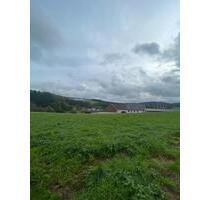 Baugrundstück erschlossen - 90,00 EUR Kaltmiete, ca.  0,00 m² in Prüm (PLZ: 54595)