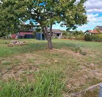 Kleingarten 450qm in BS Süd - 35,00 EUR Kaltmiete, ca.  0,00 m² in Braunschweig (PLZ: 38126) Südstadt- Rautheim- Mascherode
