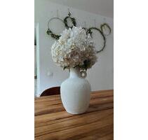 Moderne Eigentumswohnung EG Dortmund, Dorstfeld