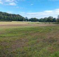 Weidefläche - 100,00 EUR Kaltmiete, ca.  0,00 m² in Bremervörde (PLZ: 27432)