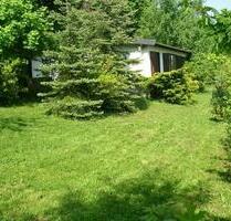 Ferienhaus Harz mitten im Wald 2 Pers. riesen Garten, POOL, Hunde - Sangerhausen