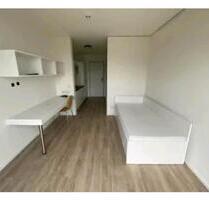 Modern Studio Apartment - Lüneburg City Center (Ilmenau River)