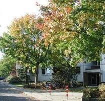 Sanierte Wohnung in Stadtnähe - 556,00 EUR Kaltmiete, in Kiel (PLZ: 24116) Schreventeich