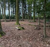 Waldgrundstück in Wermelskirchen zu verpachten - Leichlingen (Rheinland)