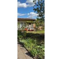 Kleingarten in Sellerhaus mit Steinbungalow - Leipzig Ost