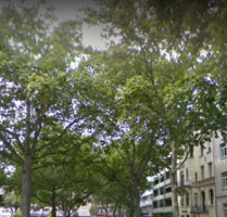TOP Lage, saniertes Appartement - Mannheim Innenstadt