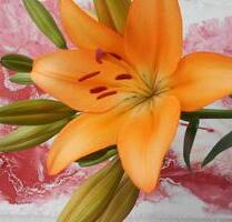 Möblierte Wohnung mit Balkon zu sofort zu vermieteten - Osnabrück Fledder