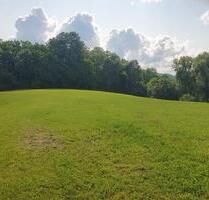 Idyllisches Haus in Einzellage mit 15.000m2 Grund - Gaildorf
