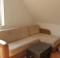 2-ZW, 50qm, Einbauküche, Spülm., Garten, Stellplatz, Glasfaser - Bad Driburg