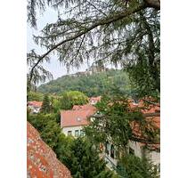 Gemütliche Wohnung in Wernigerode