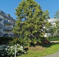 4,5 Zimmer-Wohnung mit EBK, Balkon und Stellplatz zu vermieten - Stuttgart Bad Cannstatt