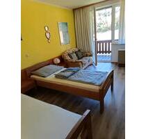 1-Zimmer Wohnung in Böhmischbruck mit Balkon idylisch und ruhig - Niedermurach