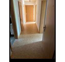 2 Zimmer Wohnung in Wieslet (Untergeschoss) - Kleines Wiesental