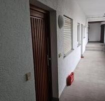 Frankenthal 1 Zimmer Wohnung 40qm zu vermieten - Frankenthal (Pfalz)