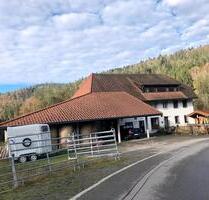 Bauernhof ideal für Pferdehaltung - Lahr (Schwarzwald)